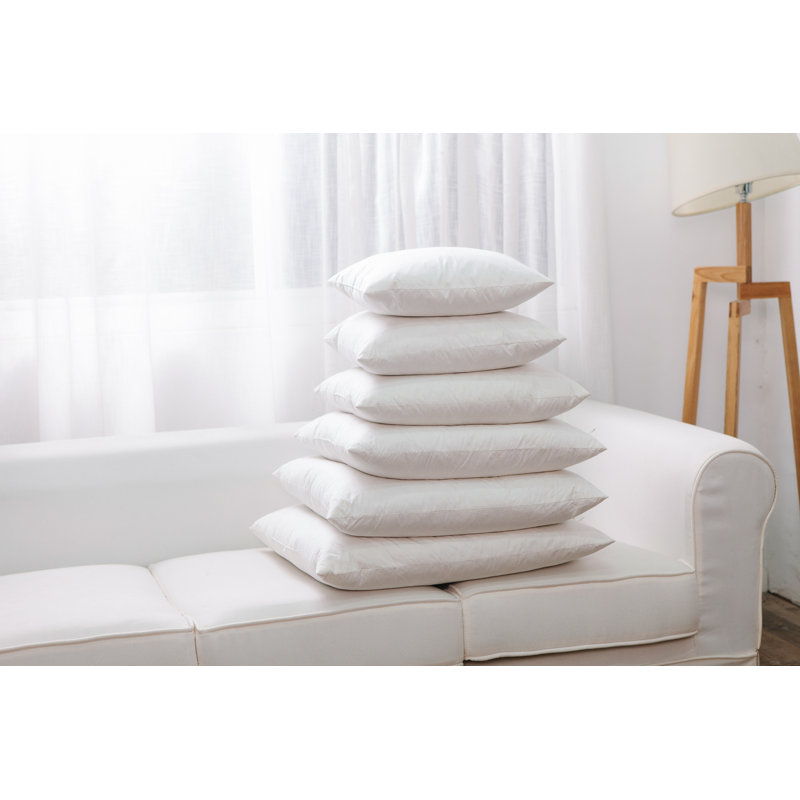 Insert de coussin décoratif en plumes huihome, 16 po x 1 po