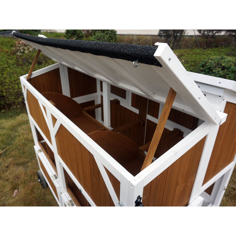 Poulailler avec perchoir 10 pi Zack