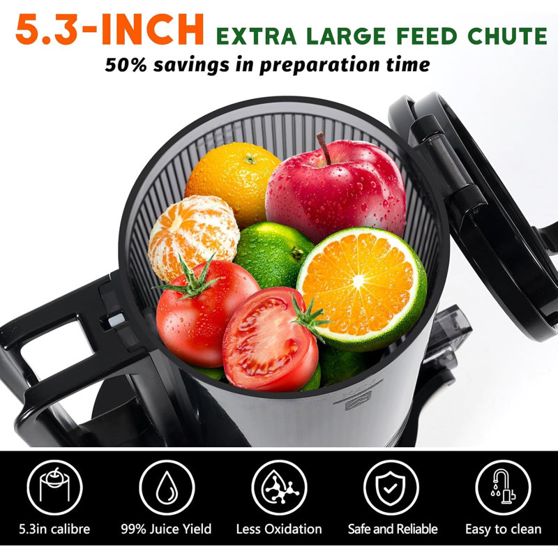 Cold Press Juicer,Slow Masticating Juicer Machines, Pink