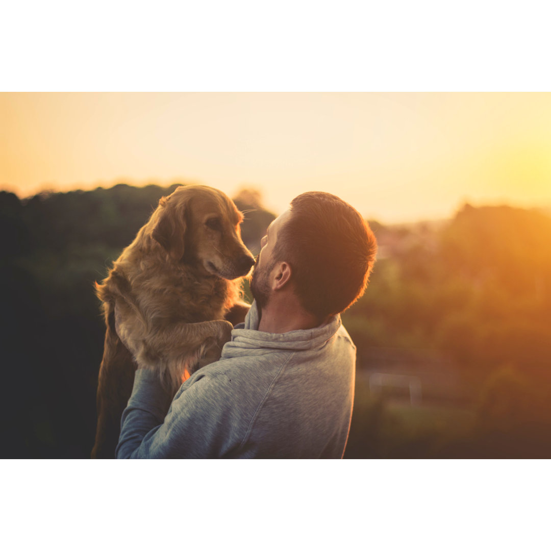 Guy And His Dog von Nevena1987 - Kunstdrucke auf Leinwand ohne Rahmen