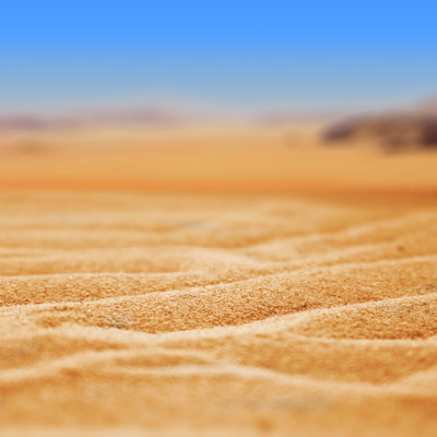 Desert Sand - Wrapped Canvas Print
