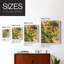 Golden Hour Greenery II, reproduction encadrée - bois massif-1672715010-1672715015