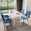 Octavian 47 cm H Foam Padding Side Chair-213580744