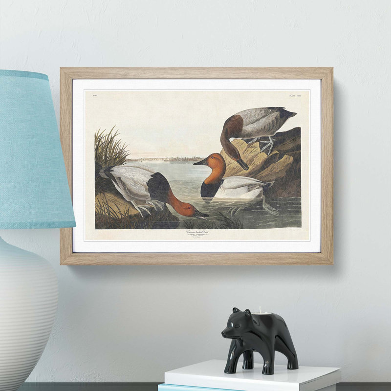 Canvas Backed Ducks by John Audubon - Picture Frame Painting Print, Oak Framed, 27cm H x 36cm W x 2cm D