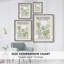 Matisse CCL XXXIV, reproduction d'art encadrée - bois massif-105098439