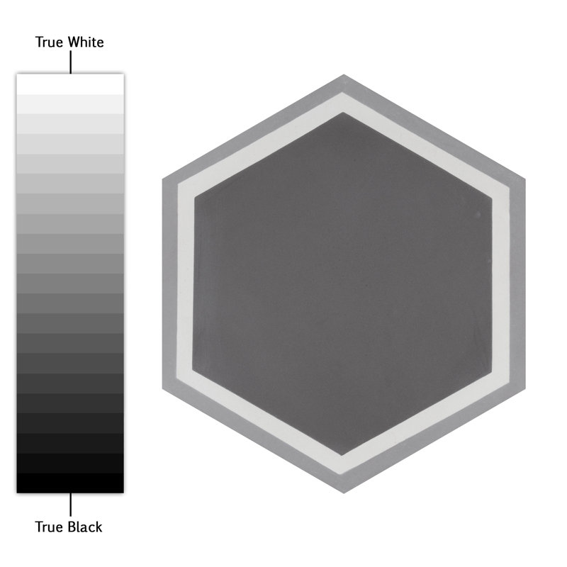 Cemento 8" x 9" Cement Concrete Look Wall & Floor Tile, Holland Strait