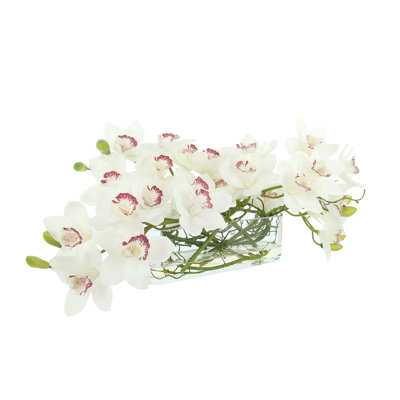 Orchidées disposées dans un vase ovale en verre avec saule frisé