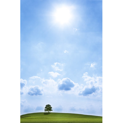 Un seul arbre sur une pente verte par Sebastian-Julian