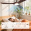 Ventilateurs de plafond légers