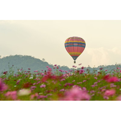 Montgolfière - photographie sur toile tendue
