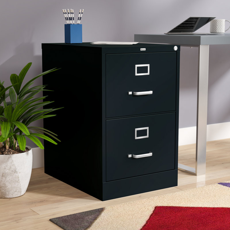 Aleceia 18'' Wide 2 -Drawer Steel File Cabinet, Black