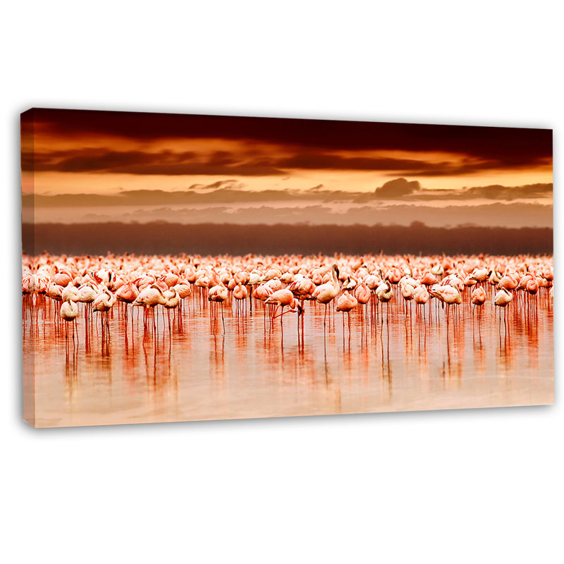 «African Flameos View at Sunset», reproduction de photo sur toile tendue, H 16 po x l 32 po