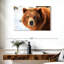 Regard d'ours grizzly-107703636