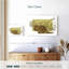 Castor sur l'herbe-1678437394