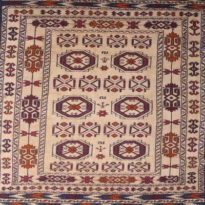 Southwestern Indoor Rug