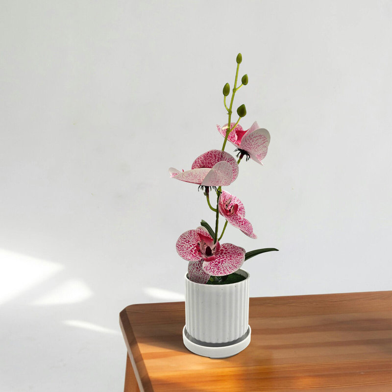 Nazam Hydrangea Arrangement in Vase
