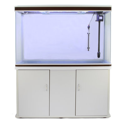 300L Hollis Aquarium Tank