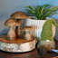 Ensemble de 3 figurines champignon en bois belgard