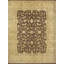 Wool Oriental Area Rug in Beige/Dark Brown-568948784