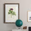«Pretty Botanicals III», cadre photo-1776683587-1776683584