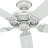 52" Sea Air 5 - Blade Outdoor Standard Ceiling Fan with Pull Chain