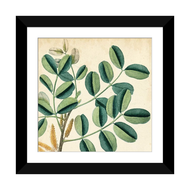 « jardin-prime ix », reproduction d’art sur toile tendue, H 16 po x l 16 po x P 1 po, Papier beaux-arts encadré noir, Blanc