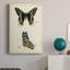 «Butterfly Profile III», impression sur toile tendue-842106258