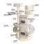 175.3cm H Cat Tree