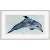 Playful Dolphin 1 Print