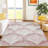 Machine Washable Indoor/Outdoor Chantille ACN2401 Coastal Rug-1238083406