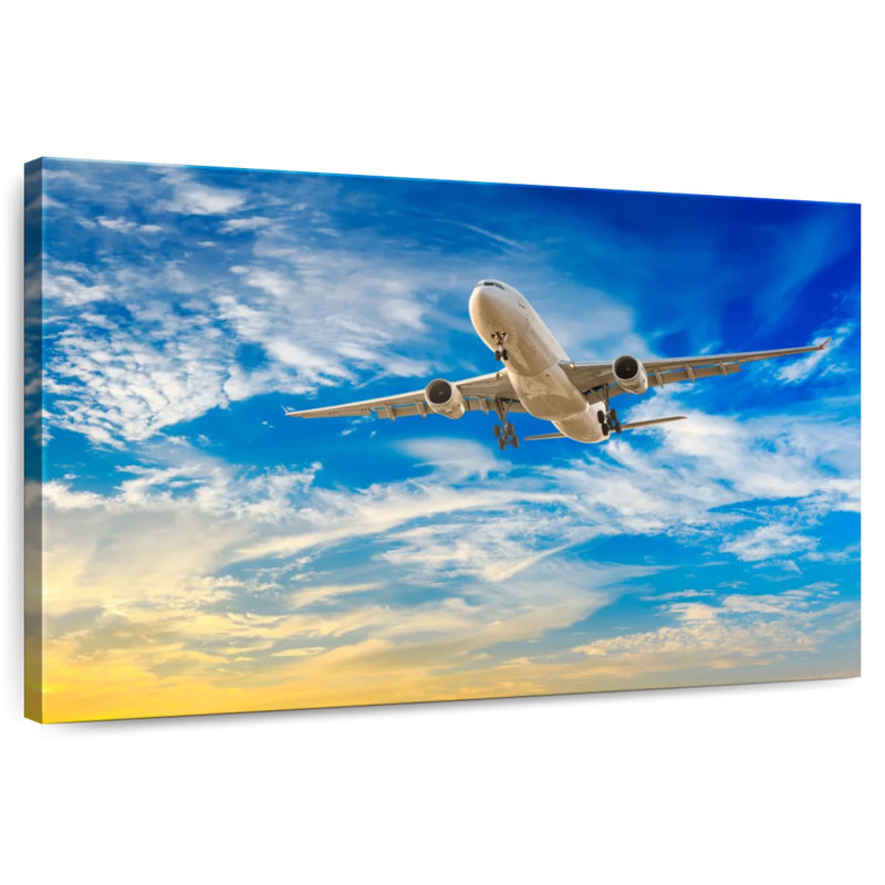 Avion commercial Mehar, H 16 po x l 24 po