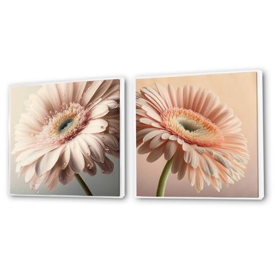 Gerbera rose - Collage de marguerites carrées
