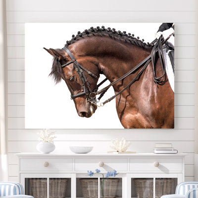 " Posing Pony Profile "