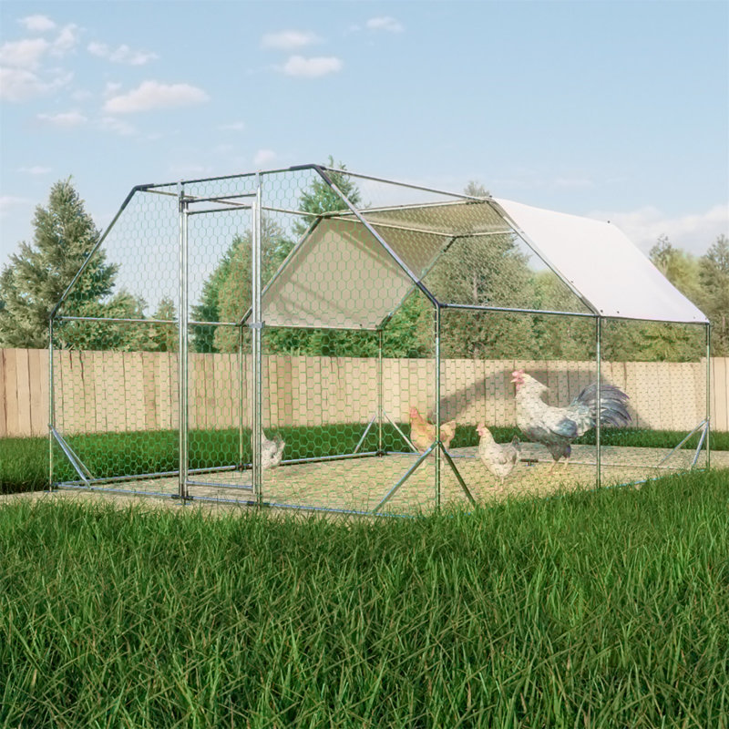 Grand poulailler en cage, H 76,32 po x l 119,28 po x P 154,08 po