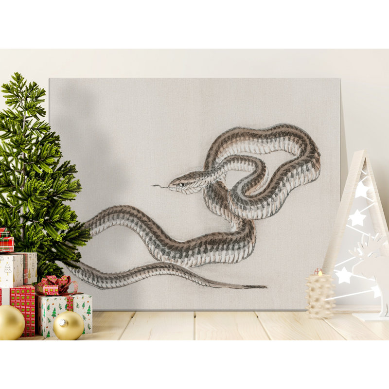 Roddy Wrapped Canvas Print Set, 20x16