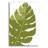 " Monstera " by Trish Sierer