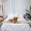 Couverture de lit imperméable Pupprotector-40873319-40873318