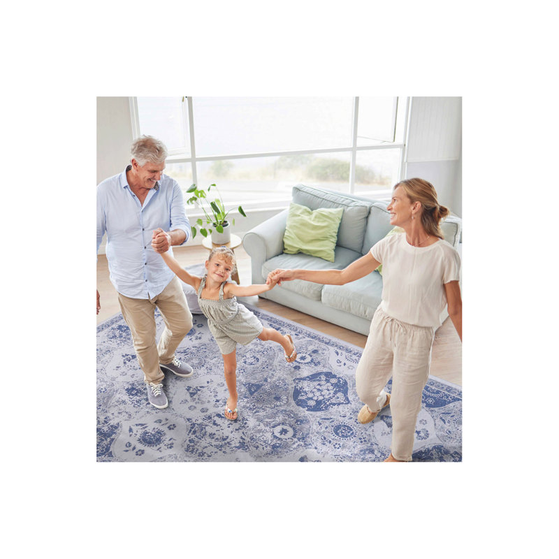Blue Area Rug 5X8, Washable Rug, Low-Pile, Non-Slip, Non-Shedding, Foldable, Kid & Pet Friendly - Area Rugs For Living Room, Bedroom, Kitchen (5' X 8')