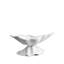 Neptue Bowl Centerpiece