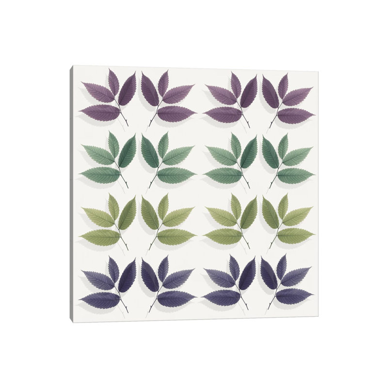 Calming Hornbeam Leaf Pattern by Alyson Fennell - Wrapped Canvas Print, 30.48 cm H x 30.48 cm W