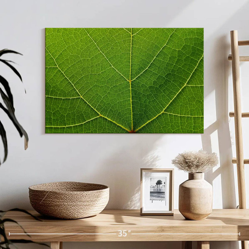 Harnek Grape Leaf, 16" H x 24" W