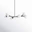 Amarula 8-Light Chandelier-1036008650