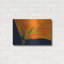 «Lily Dressed In Orange» par Pamela Plummer-1749955055