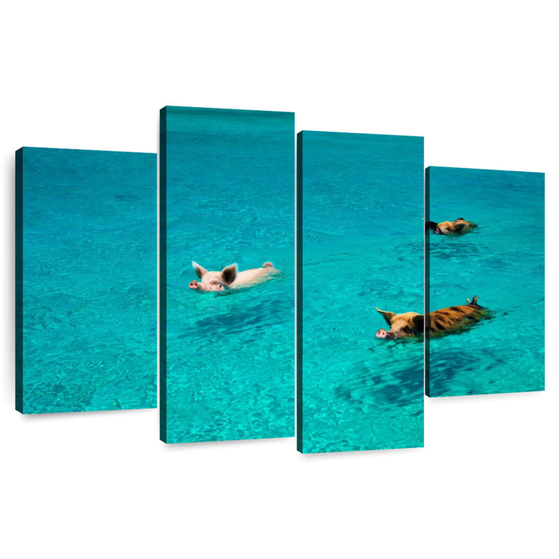 Pigs In Exuma Cays, 22" H x 36" W