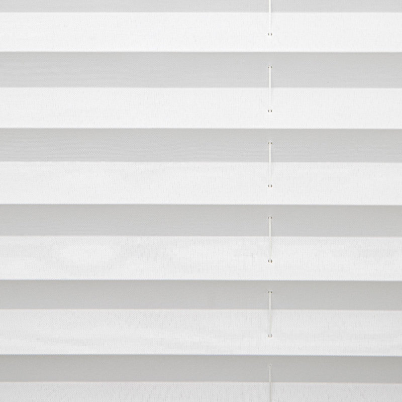 Coursey 1 inch Cordless Semi-Sheer Light Filtering Pleated Shade, 34"W x 64"L, White