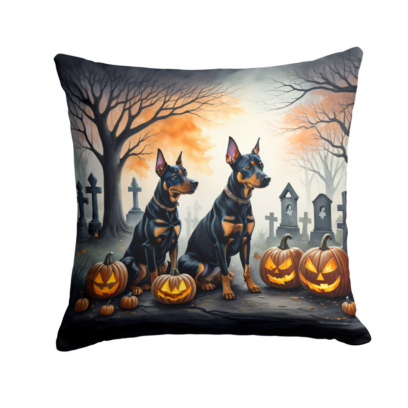  Housse et insert de coussin décoratif en polyester, 18 po x 18 po