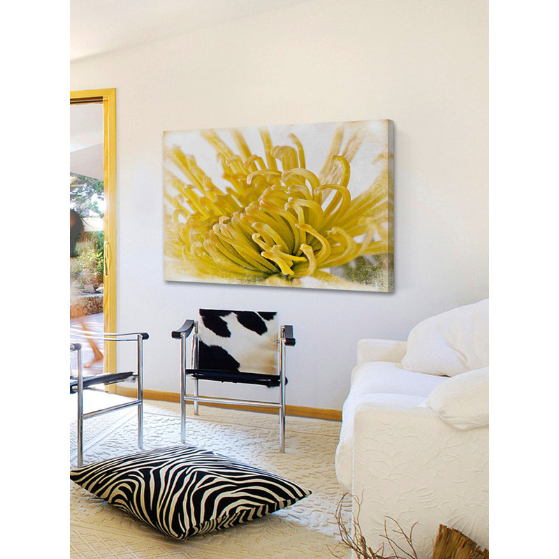 Chrysanthemum 1 Piece Wrapped Canvas Wall Art, 30 cm H x 46 cm W