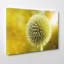 Wrapped Canvas Print-19042760