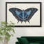 «Beautiful Butterfly III», impression sur toile encadrée-1317696984-1317696985