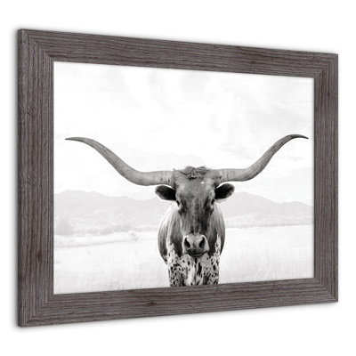 " Isolated Bull "